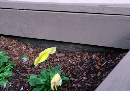 building-elevated-planter-boxes